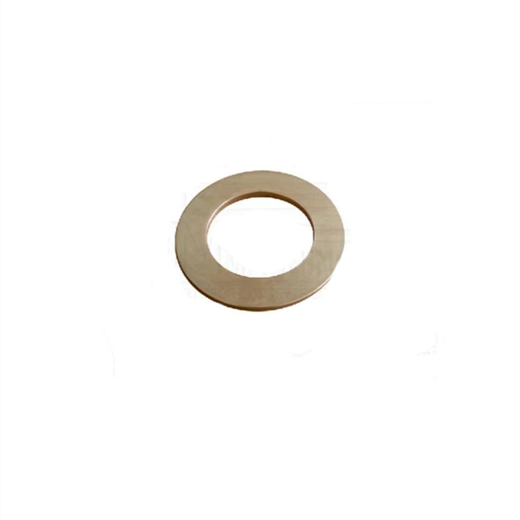 10061083 Schwing Concrete Pump Disc Plate