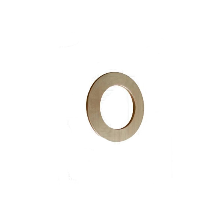Schwing Concrete Pump Disc Plate 10061083