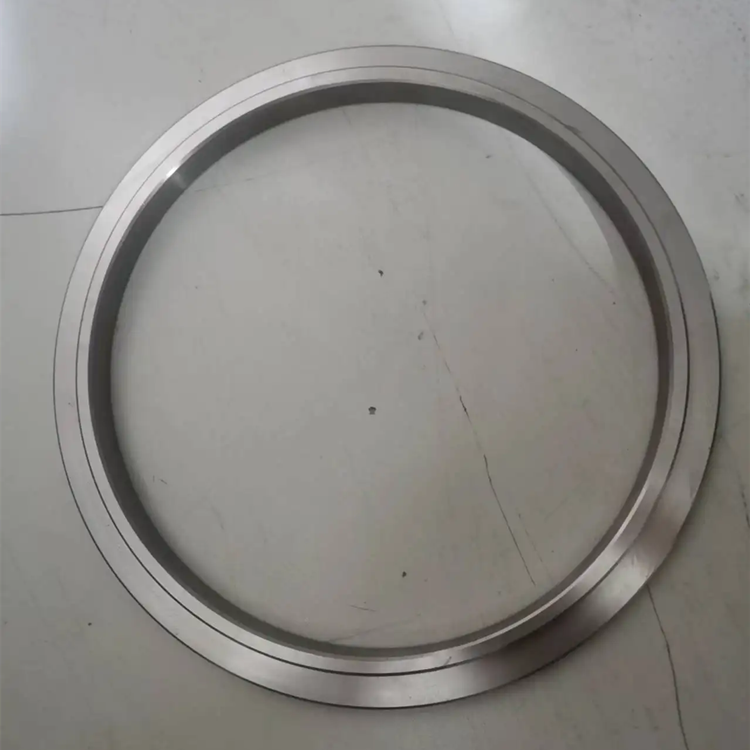 Schwing 10158880 back up ring DN210
