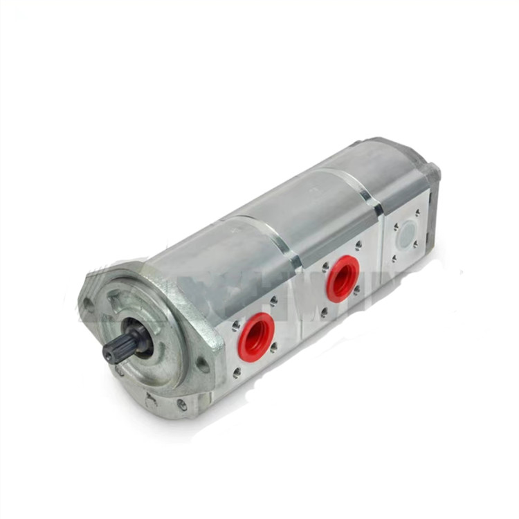 10189715  schwing fixed displacement pump