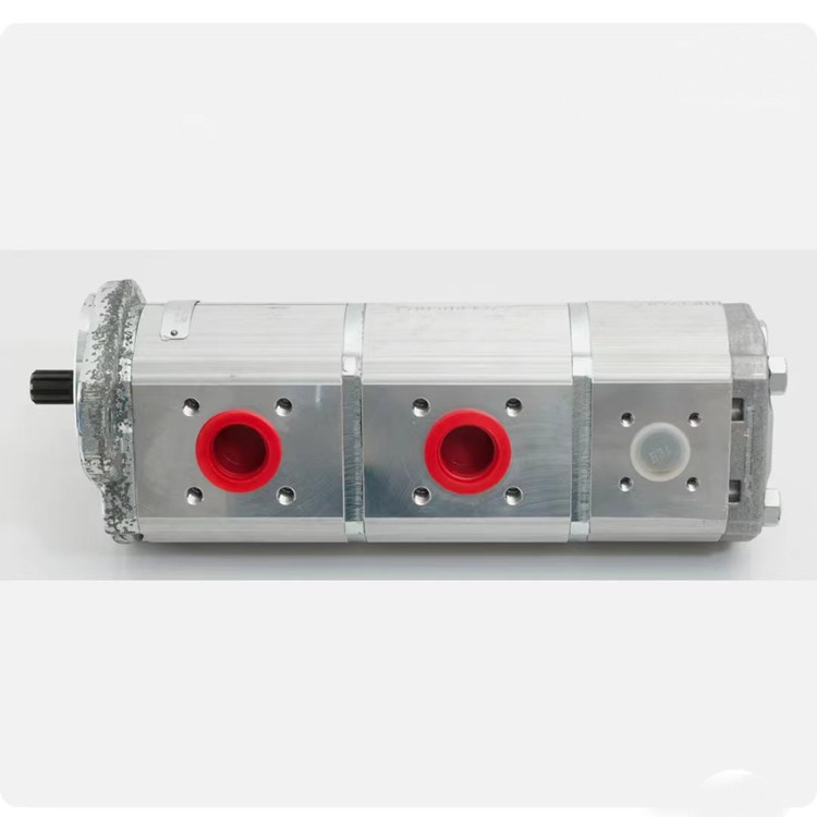 Schwing fixed displacement pump 10189715