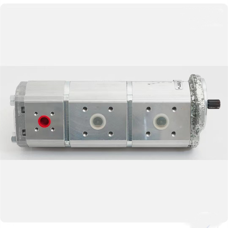 Schwing concrete pump spares fixed displacement pump 10189715